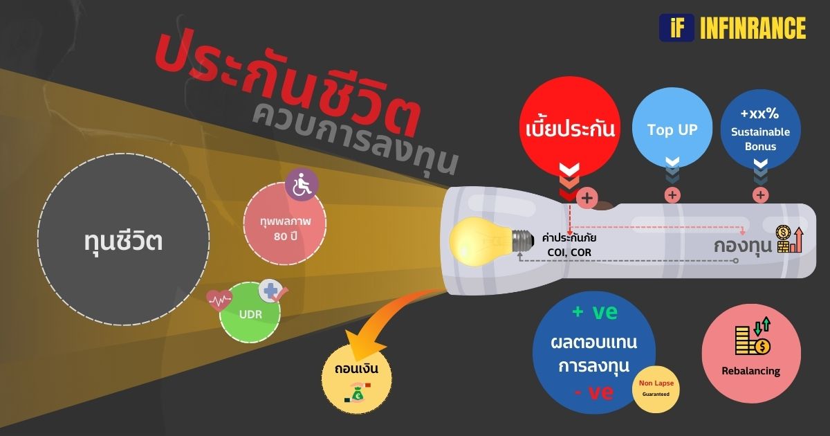 ส่วนประกอบประกันควบการลงทุนที่เข้าใจง่าย
